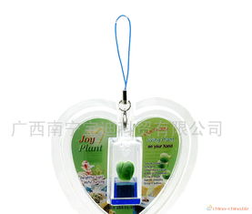 活体植物工艺品 独特圣诞礼品的新颖选择