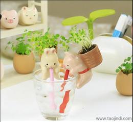 小盆栽迷你植物批发 寻找可靠的厂家货源与供应信息